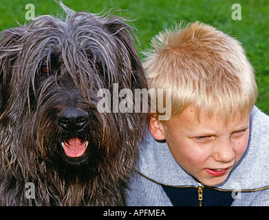 Herr Hund-Schnauzer Mischling und blonder Junge Kopf anzeigen Stockfoto