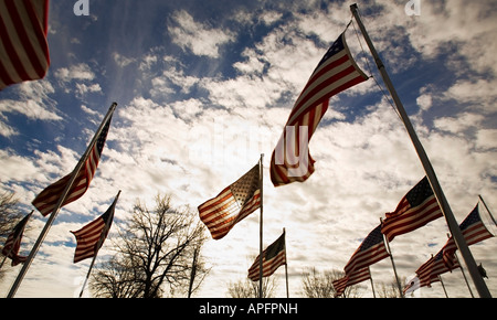 Eine Gruppe von amerikanischen Flaggen Stockfoto