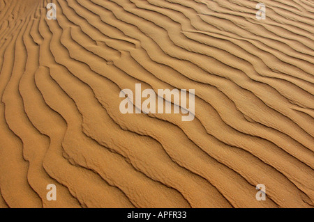 Sand braun Muster Diagonal von unten rechts nach oben links Namibwüste Namibia Stockfoto