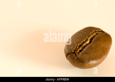eine Kaffeebohne Stockfoto