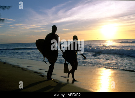 Paare, die am Strand bei Sonnenuntergang mit Surfbrettern Stockfoto