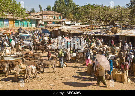 Eine typische bunte Straßenbild im Hauptmarkt von Gondar. Stockfoto