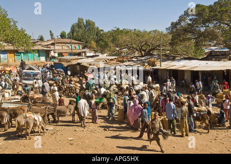 Eine typische bunte Straßenszene auf dem kleinen Markt in Gondar. Stockfoto