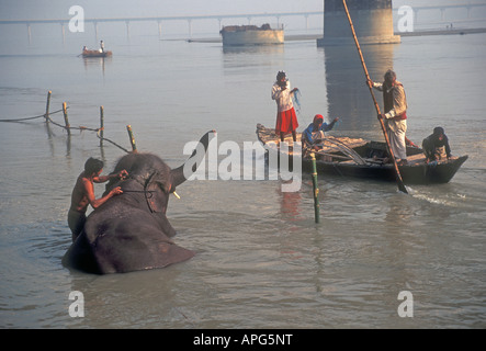 Sonepur Messe, Bihar, Indien Stockfoto