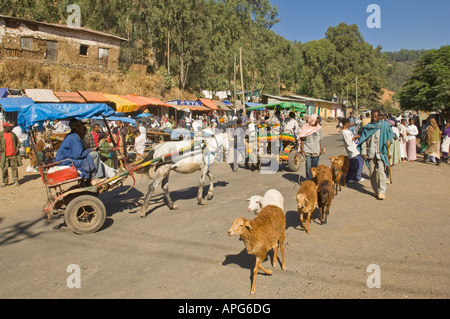 Äthiopien Gonder Dezember 2007 kleiner Markt in Gondar Stockfoto