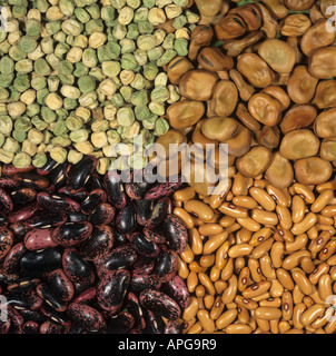 Erbse Saubohne Runner Bean grün oder Französisch Bohnensamen Stockfoto