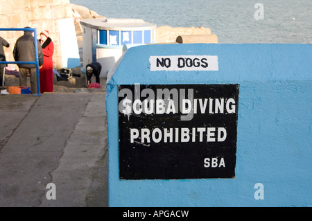 Anzeichen auf die vierzig Fuß Liegeplatz am Sandycove Dublin sagen Tauchen verboten und keine Hunde Stockfoto