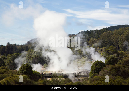 Übersicht über dampfende Geysire in Whakarewarewa Thermal Reserve aus NZ Kunsthandwerk Institut Te Puia Rotorua Neuseeland Stockfoto