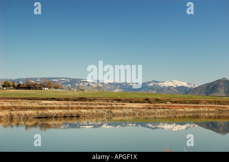 Fisch Brüterei Central Valley in Kalifornien in der Nähe von Fresno Sierra Nevada Berge im Winter Stockfoto