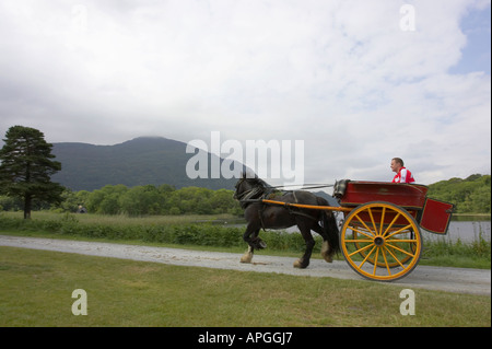 Fahrer nimmt ein Pferd und Falle Kurzaufenthalte Cart fahren neben den Killarney Seen am Muckross Abbey County Kerry Stockfoto