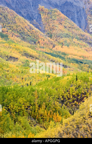 Alaska fallen entlang Glenn Highway Matanuska River Tal Stockfoto