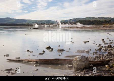 Rotorua North Island Neuseeland kann schweflige Dampf steigt aus Wasser und Schlamm in Lake Rotorua in Schwefel Stadt Stockfoto