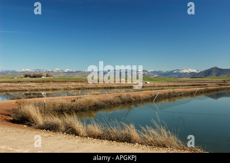 Fisch Brüterei Central Valley in Kalifornien in der Nähe von Fresno Sierra Nevada Berge Winter Stockfoto