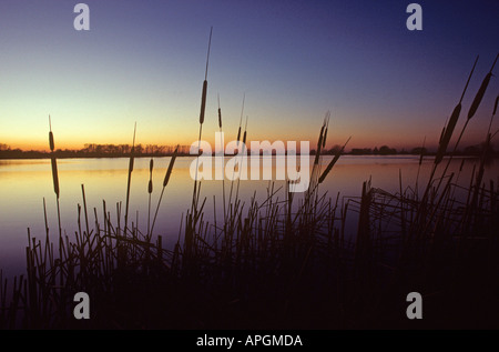 Wilstone Reservoir in Tring in Hertfordshire ein Sonnenuntergang im Winter Stockfoto