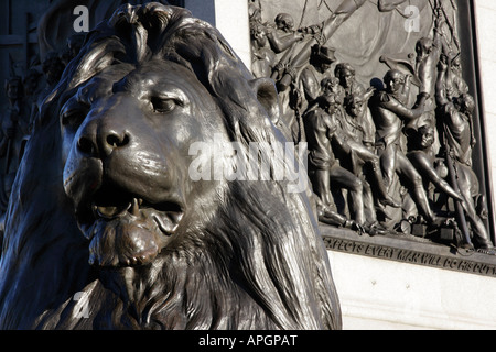 Einer der Landseers Löwen-Trafalgar Square in London Stockfoto