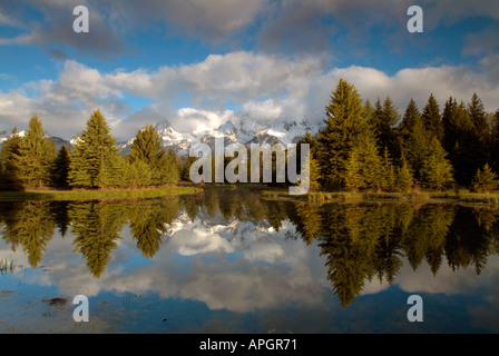 Blick auf den Grand Teton vom Schwabacher Landung, Wyoming, Juni Stockfoto