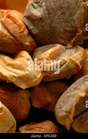 Detail des Topfes und gebrauchte Teebeutel Stockfoto