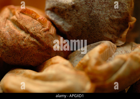 Detail des Topfes und gebrauchte Teebeutel Stockfoto