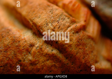 Detail des Topfes und gebrauchte Teebeutel Stockfoto