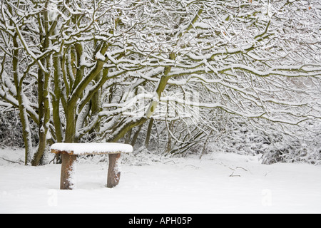 Schneebedeckte Wälder Parkbank Stockfoto