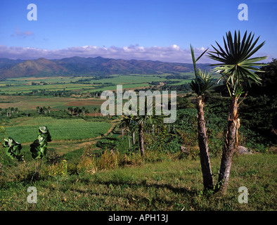 Valle de Los Ingenieros Trinidad Kuba Stockfoto