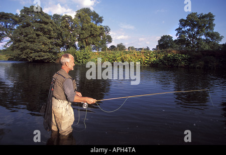 Fliegenfischen auf dem Fluß Eden an große Musgrave bei Brough Cumbria England Stockfoto