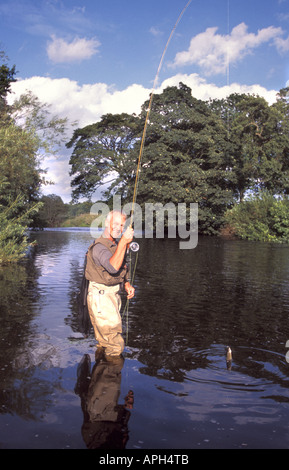 Fliegenfischen auf dem Fluß Eden an große Musgrave bei Brough Cumbria England Stockfoto