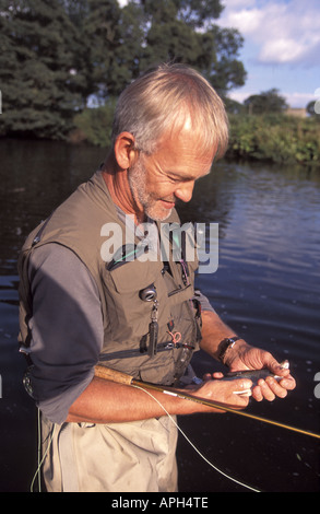 Fliegenfischen auf dem Fluß Eden an große Musgrave bei Brough Cumbria England mit einer Äsche in der hand Stockfoto