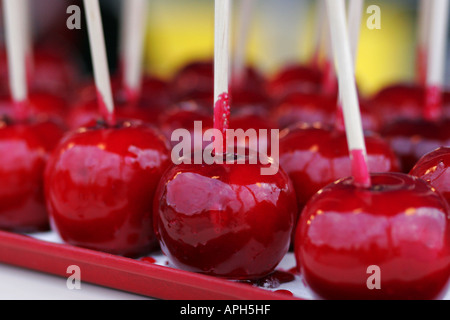 Roten kandierten Äpfeln Stockfoto