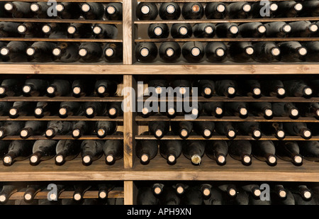 Rack voller Vintage-Flaschen Wein Stockfoto