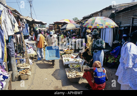 Auf dem Markt in Serekunda verkaufen die größte Stadt in Gambia Stände frisches Obst und Gemüse Stockfoto