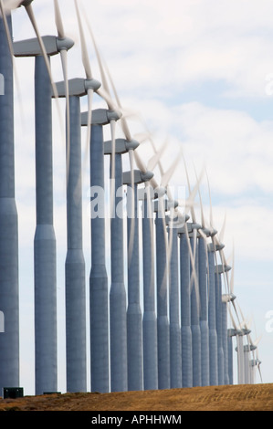 Die Propeller von einer Reihe von Windkraftanlagen drehen im Wind, als sie im Südosten Washington State Stromerzeugung Stockfoto