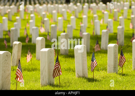 Reihen von Grabsteinen mit amerikanischen Flaggen in Arlington Staatsangehörig-Kirchhof am Memorial Day. Lange Sicht flachen Fokus hautnah. Stockfoto
