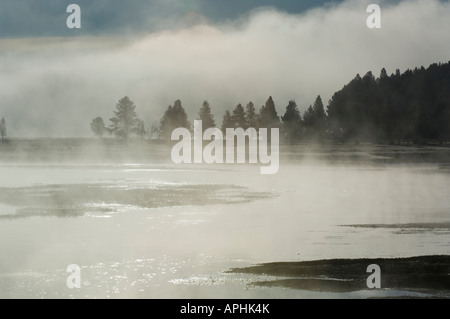 Morgennebel steigt vom Yellowstone River im Hayden Valley Yellowstone Nationalpark Wyoming Stockfoto