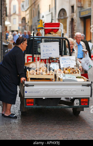 Lokale Anbieter verkaufen Steinpilze auf der Straße von Lucca, Toskana, Italien Stockfoto