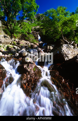 Stickle Ghyll Wasserfall im Vorfeld scheut Tarn in der Nähe von Chapelstile, Lake District, Cumbria Stockfoto