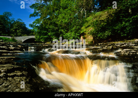 Stainforth Kraft und Fluss Ribble nahe Settle, Yorkshire Dales National Park, West Yorkshire Stockfoto