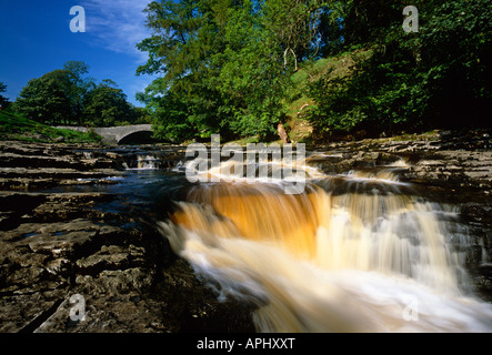 Stainforth Kraft und Fluss Ribble nahe Settle, Yorkshire Dales National Park, West Yorkshire Stockfoto