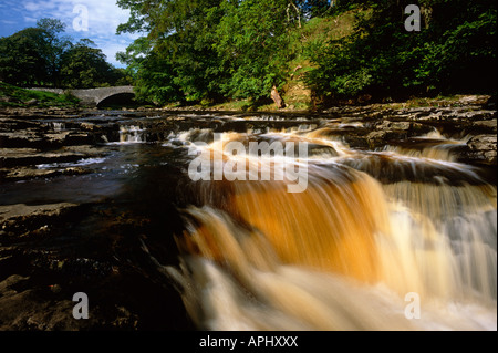 Stainforth Kraft und Fluss Ribble nahe Settle, Yorkshire Dales National Park, West Yorkshire Stockfoto