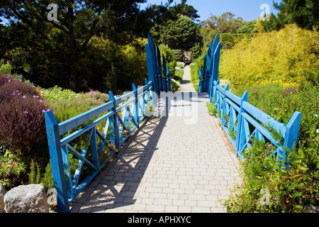 Tresco Abtei Sub tropischen Gärten im Sommer Sonnenschein blaue Brücke in der Nähe von Eingang Tresco Isles of Scilly Cornwall England UK GB Stockfoto