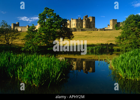 Alnwick Castle spiegelt sich in den Fluss Aln von den Weiden, Northumberland Stockfoto