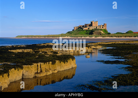 Blick auf Bamburgh Castle und Strand am Ende des Sommers, Bamburgh, Northumberland Stockfoto