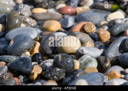 Nasse Kieselsteine am Strand in Pembrokeshire Wales Stockfoto