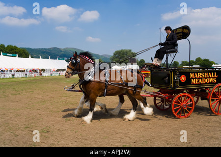 Fahrsport-Event in den drei Landkreisen zeigen, Malvern, Worcestershire Stockfoto