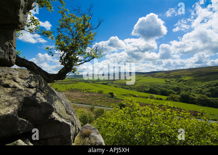 Baines Felsen im Wald von Bowland Bereich von außergewöhnlicher natürlicher Schönheit in der Nähe von Lancaster, Lancashire Stockfoto