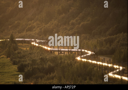 Die Trans-Alaska-Pipeline spiegelt die untergehende Sonne in der Nähe von Fairbanks Alaska Stockfoto