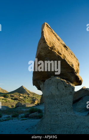 Kuchen geformt Caprock, Terry Badlands, Montana, USA Stockfoto