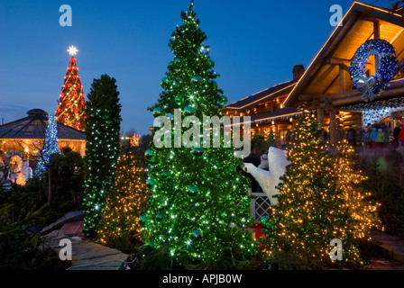 Weihnachtsbäume in LIDO Recreation Center in Riga, Lettland Stockfoto