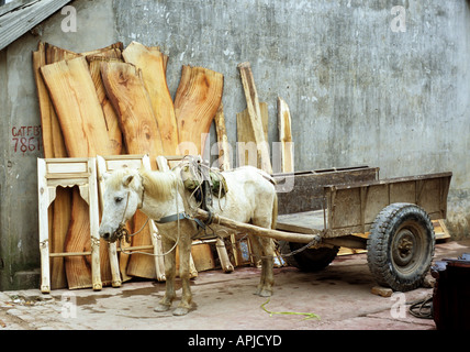 Pony und Wagen außerhalb Möbeltischlerei Workshop, Dai Nghiep Möbel Dorf, Hanoi, Vietnam Stockfoto