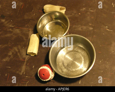 Hund Schalen Essen South Wales GB UK 2006 Stockfoto
